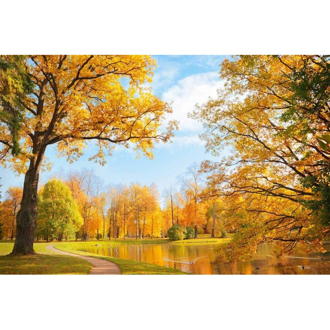 Fotótapéta - Kora ősz