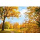 Fotótapéta - Kora ősz