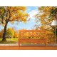 Fotótapéta - Kora ősz