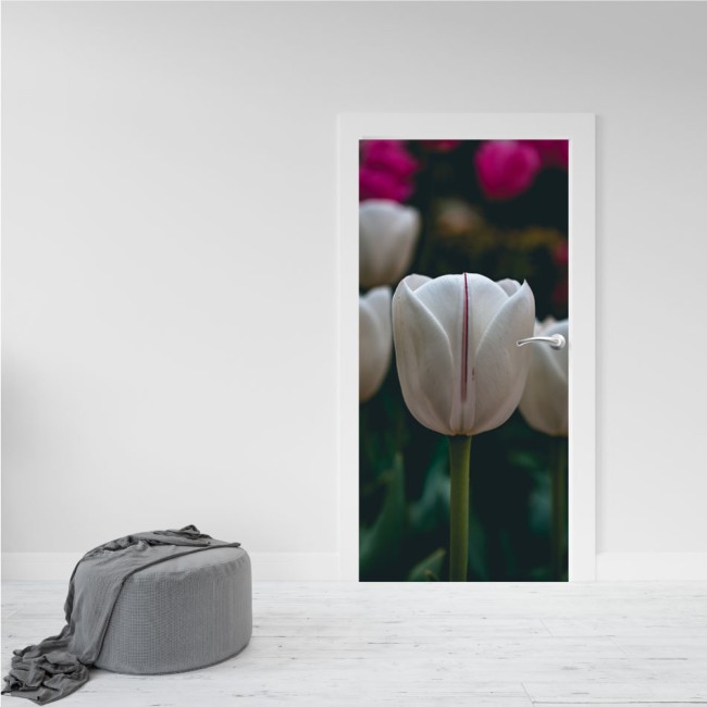 Ajtó matrica - Tulipán