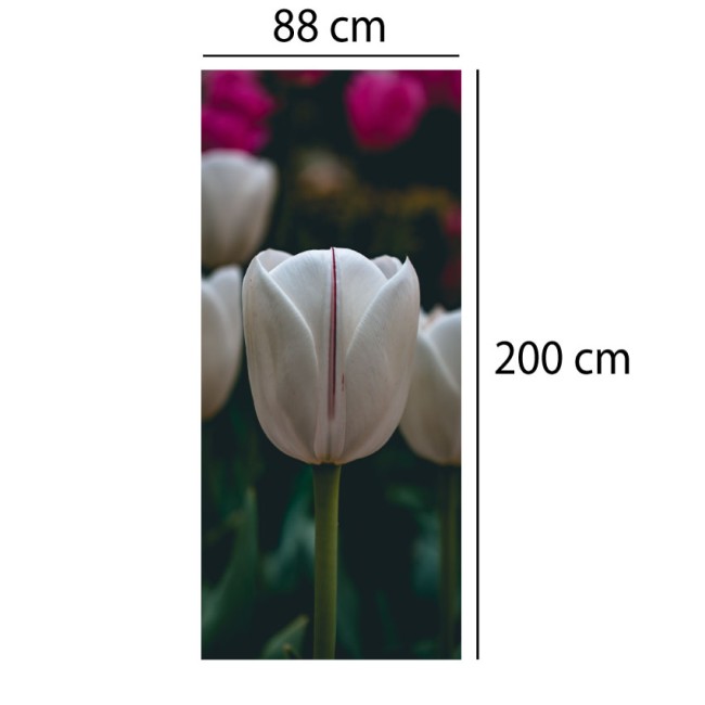 Ajtó matrica - Tulipán