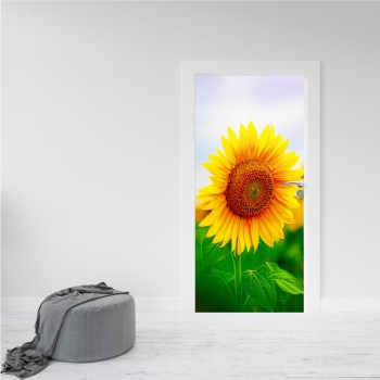 Ajtó matrica - Napraforgó