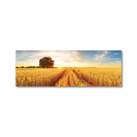 Búza mező - Vászonkép AKCIÓ - 50x150 cm