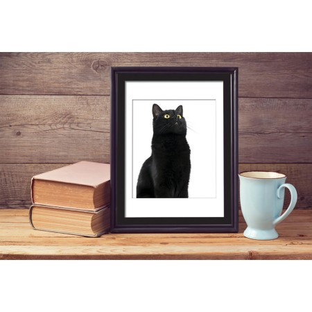 Cuki cica - Kerethatású matrica