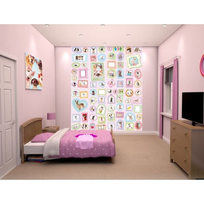 Fotótapéta - Studio Pets