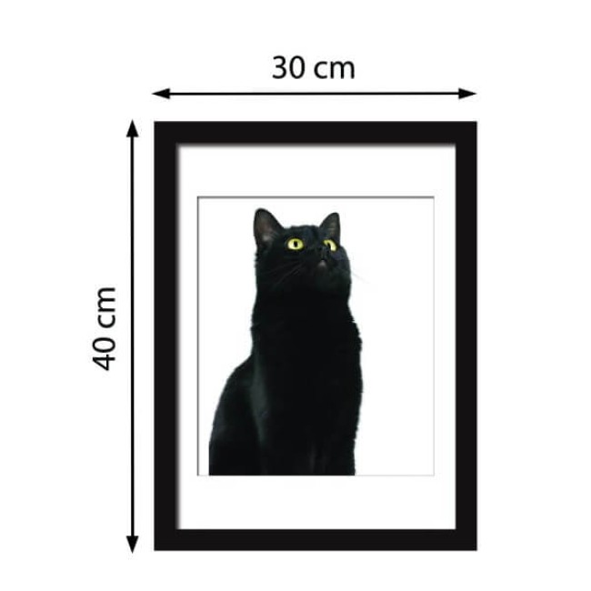 Cuki cica - Kerethatású matrica