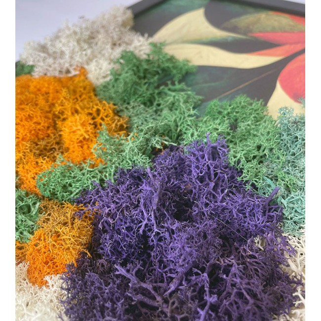 Zuzmókép - Absztrakt kép