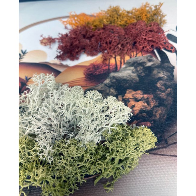 Zuzmókép - Őszi kilátás