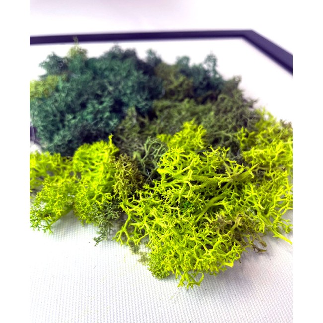 Zuzmókép - A zöld ereje