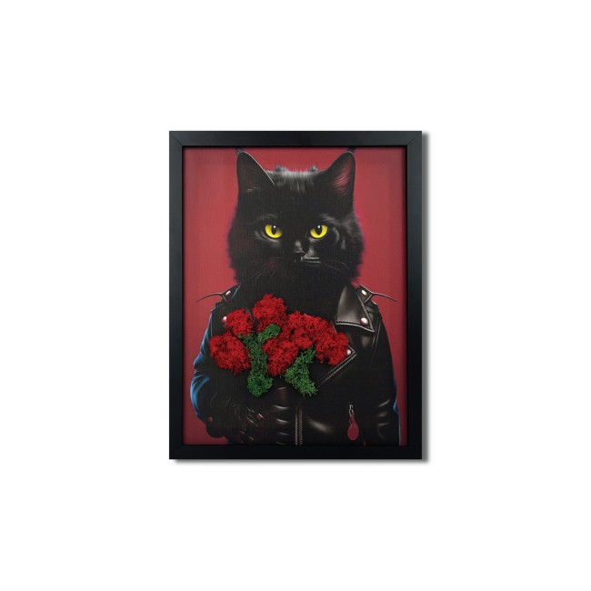 Zuzmókép - Artúr a macska