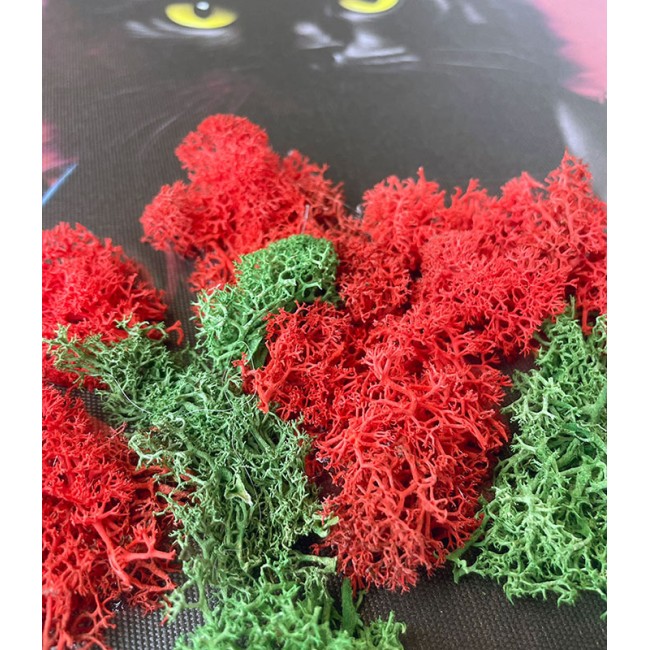 Zuzmókép - Artúr a macska