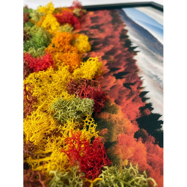 Zuzmókép - Őszi erdő