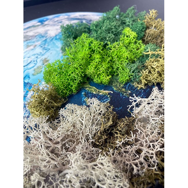 Zuzmókép - A Föld