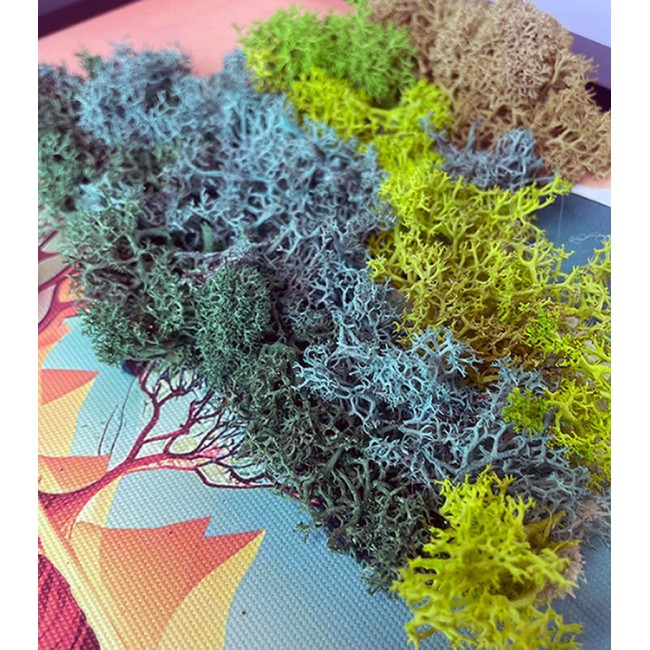 Zuzmókép - Egy másik dimenzió