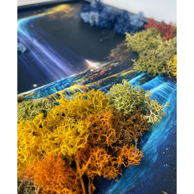 Zuzmókép - Tündér forrás