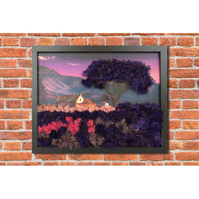 Zuzmókép - Levendula varázs