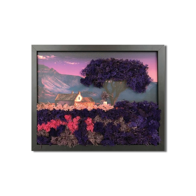 Zuzmókép - Levendula varázs