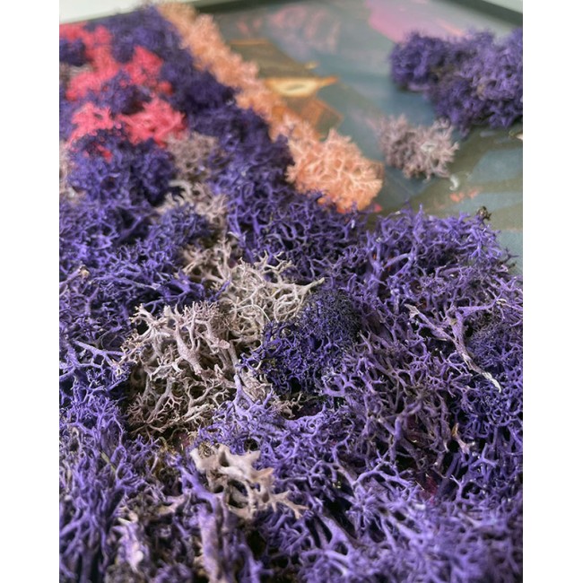 Zuzmókép - Levendula varázs